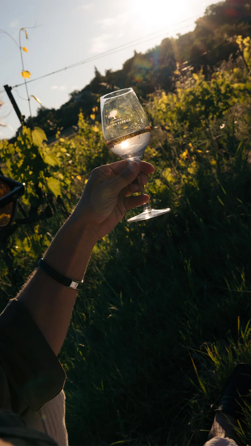 Restaurant en Provence avec sélection de vins locaux